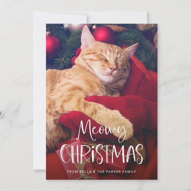 Cartes Pour Fêtes Annuelles Noël Meowy | Photo de chat animal de compagnie amu (Devant)