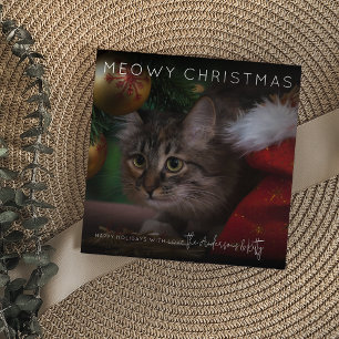 Cartes Pour Fêtes Annuelles Noël Meowy Photo Noël