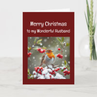 Noël Merveilleux Mari Anglais Robin Bird