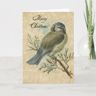 Cartes Pour Fêtes Annuelles Noël, mésange bleue vintage