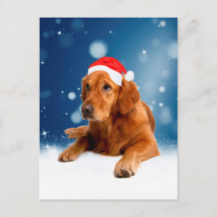 Cartes Pour Fêtes Annuelles Noël Mignonne Golden Retriever Chien Santa Hat Nei