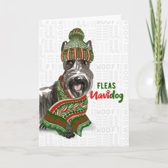 Cartes Pour Fêtes Annuelles Noël mignonne Scottie Fleas NaviDOG (Devant)