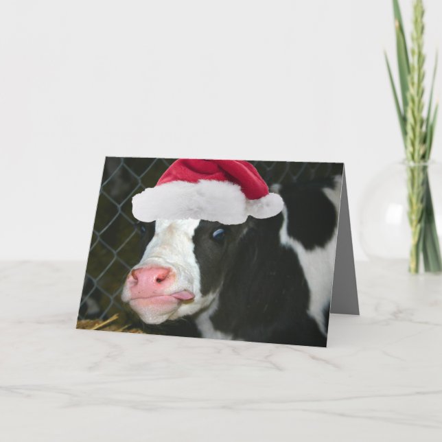 Cartes Pour Fêtes Annuelles Noël Moory de vache (Devant)