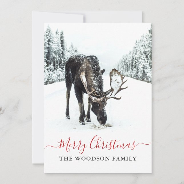 Cartes Pour Fêtes Annuelles Noël Moose hiver Neige Joyeux Noël (Devant)