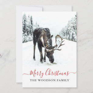 Cartes Pour Fêtes Annuelles Noël Moose hiver Neige Joyeux Noël