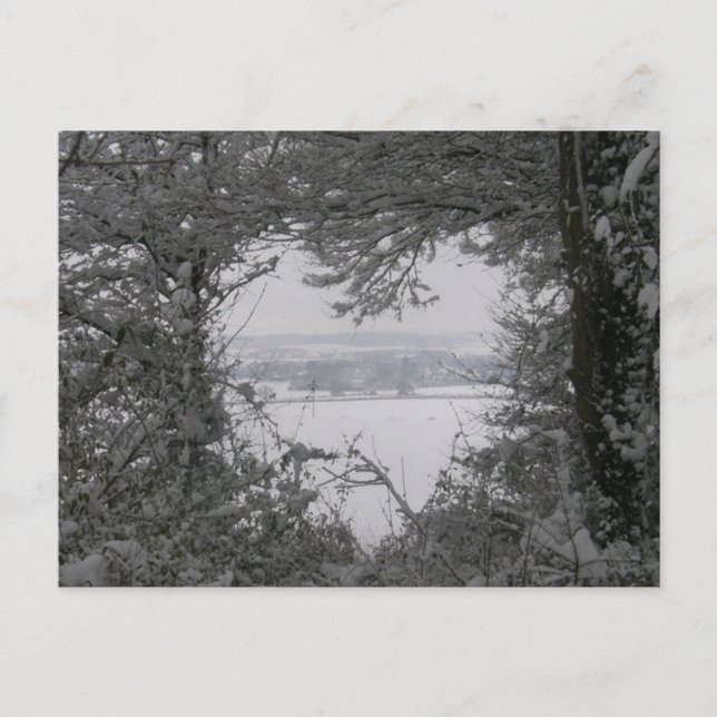 Cartes Pour Fêtes Annuelles Noël noir et blanc de photo de coeur de neige (Devant)