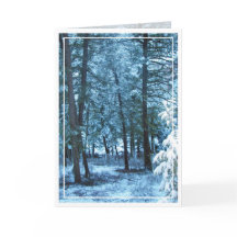 Noël, Nouvel An, Fête - Vide