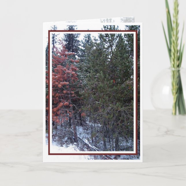 Cartes Pour Fêtes Annuelles Noël, Nouvel An, Fête - Vide (Devant)