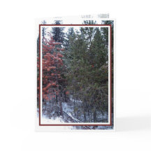 Noël, Nouvel An, Fête - Vide