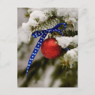 Cartes Pour Fêtes Annuelles Noël patriotique