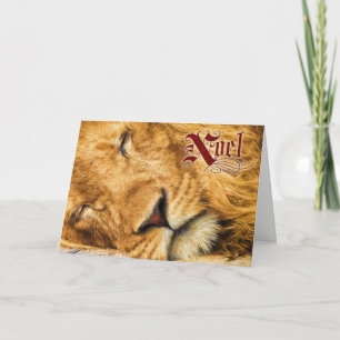 Cartes Pour Fêtes Annuelles Noel Peace on Earth Peinture de lion