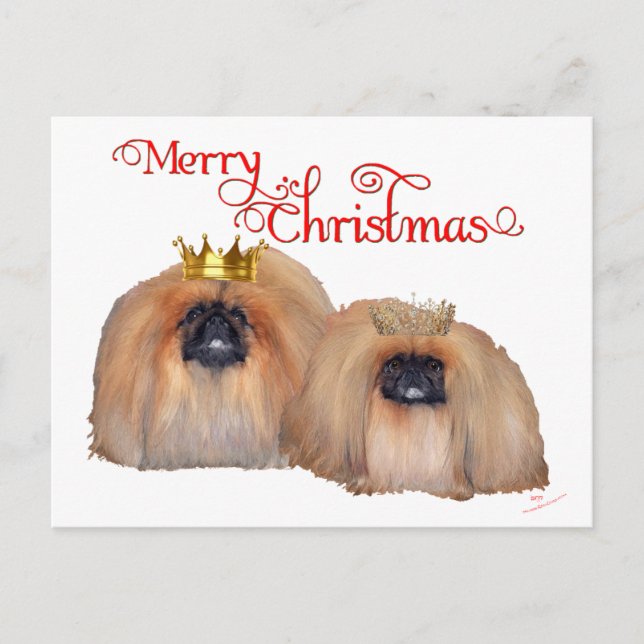 Cartes Pour Fêtes Annuelles Noël Pékin (Devant)