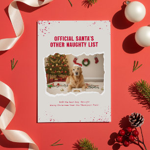 Cartes Pour Fêtes Annuelles Noël Photo de Chien Drôle Humour Moderne