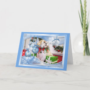 Cartes Pour Fêtes Annuelles Noël Photocard de Shih Tzu