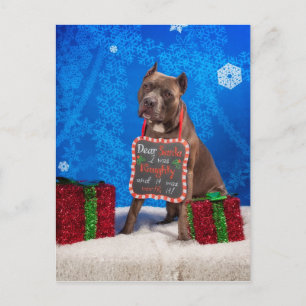 Cartes Pour Fêtes Annuelles Noël Pit-Bull
