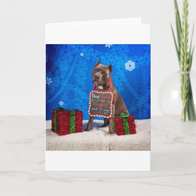 Cartes Pour Fêtes Annuelles Noël Pit-Bull (Devant)