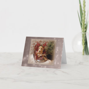 Cartes Pour Fêtes Annuelles Noël Poilu et Lumineux