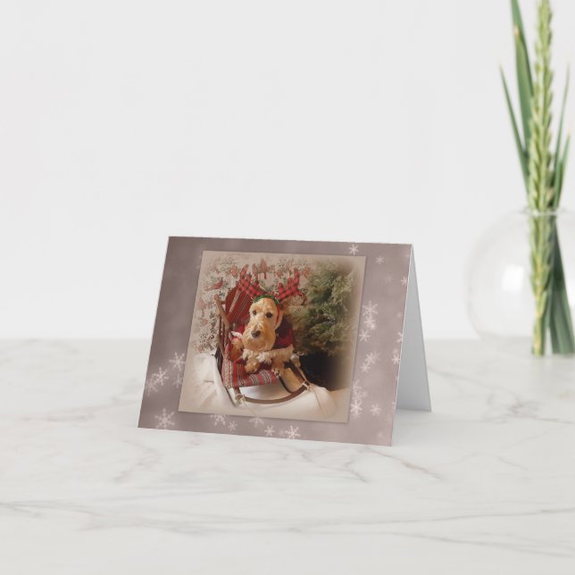 Cartes Pour Fêtes Annuelles Noël Poilu & Lumineux (Devant)