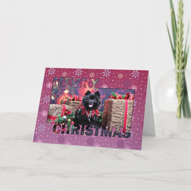 Cartes Pour Fêtes Annuelles Noël - Pomeranian - Mazie (Devant)