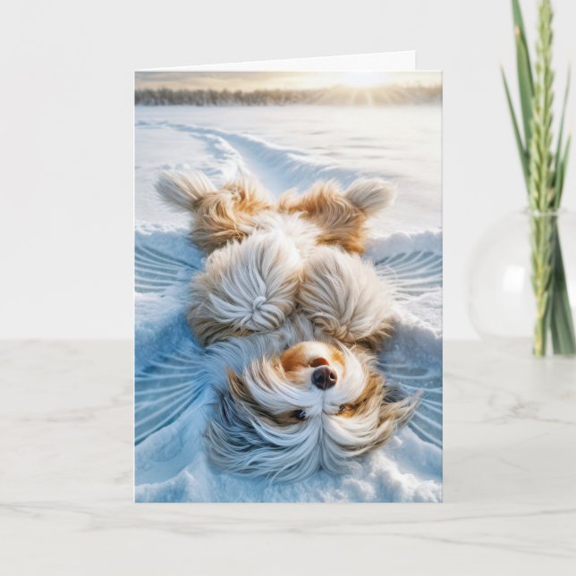 Cartes Pour Fêtes Annuelles Noël Porté Collie Ange Neige (Devant)