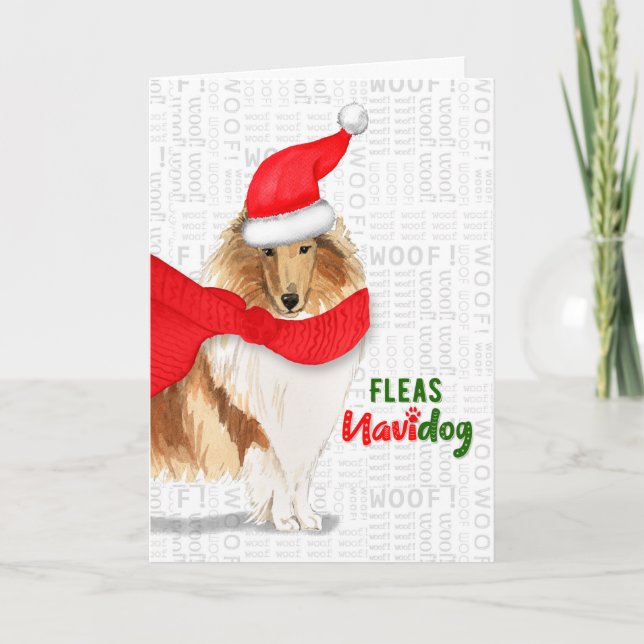 Cartes Pour Fêtes Annuelles Noël Pretty Rough Collie Fleas NaviDOG (Devant)