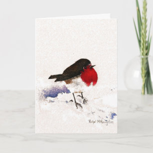 Cartes Pour Fêtes Annuelles Noël Robin