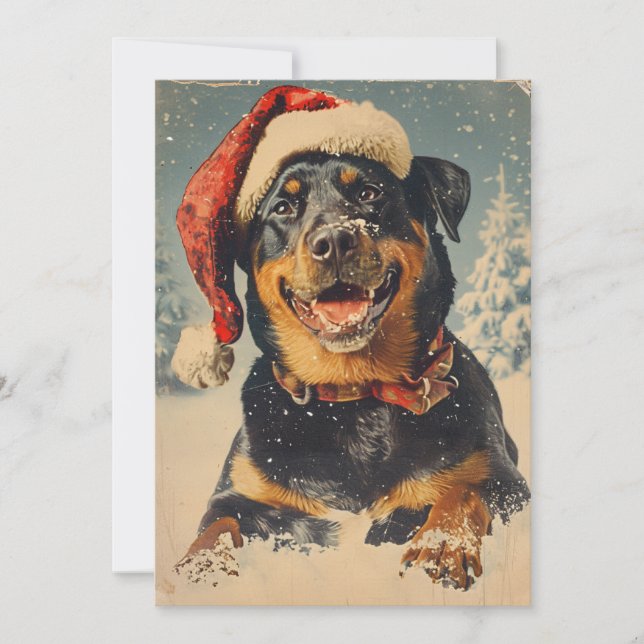 Cartes Pour Fêtes Annuelles Noël Rottweiler (Devant)