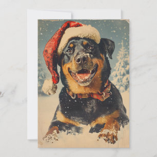 Cartes Pour Fêtes Annuelles Noël Rottweiler