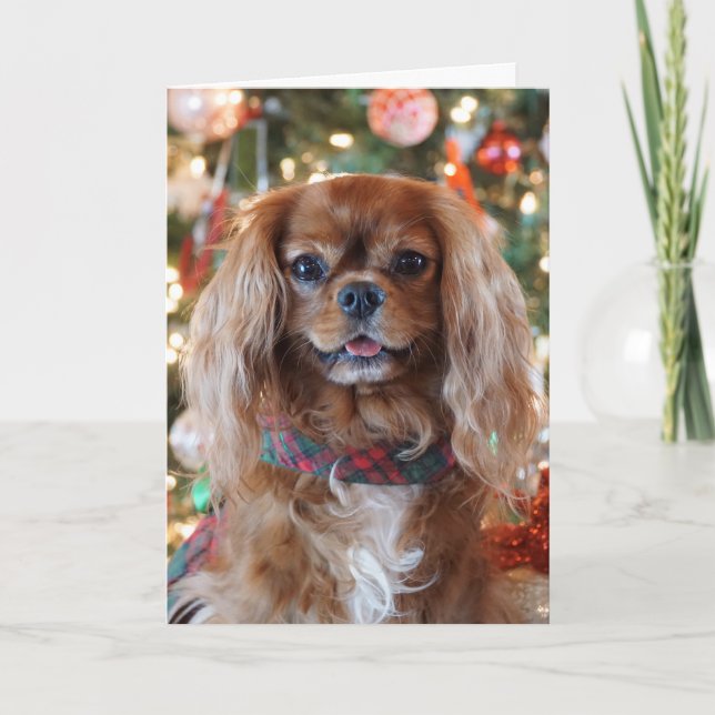 Cartes Pour Fêtes Annuelles Noël rouge (Devant)