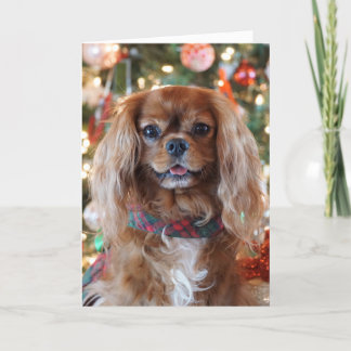 Cartes Pour Fêtes Annuelles Noël rouge