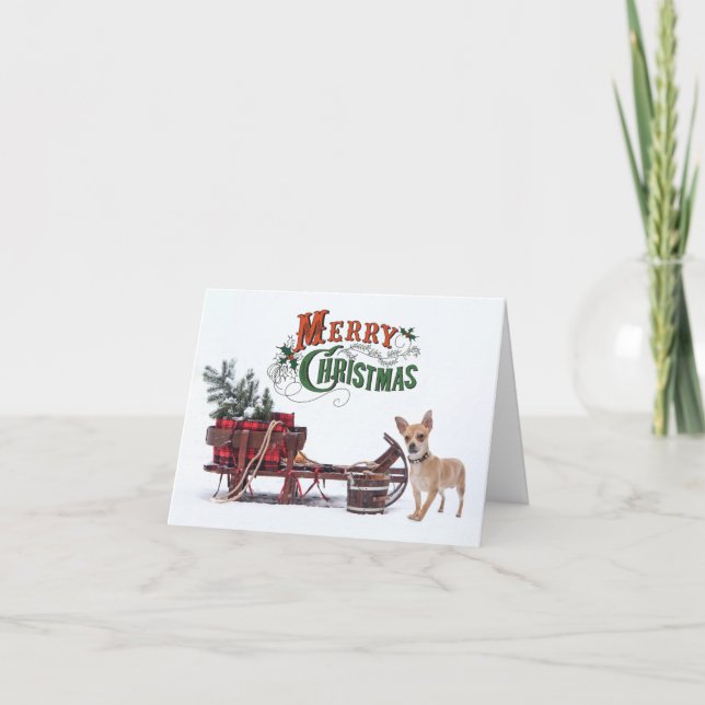 Cartes Pour Fêtes Annuelles Noël rustique Chihuahua (Devant)
