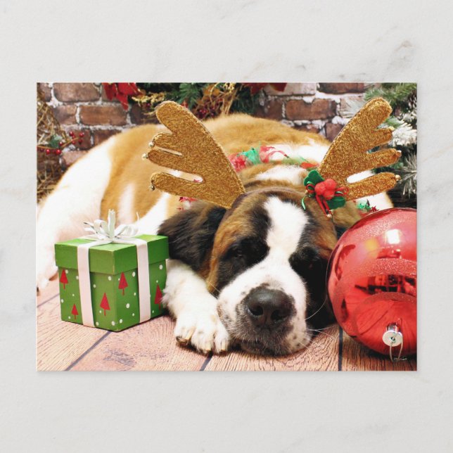 Cartes Pour Fêtes Annuelles Noël - Saint Bernard - Bleu (Devant)