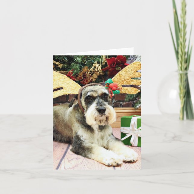 Cartes Pour Fêtes Annuelles Noël - Schnauzer - Apache (Devant)