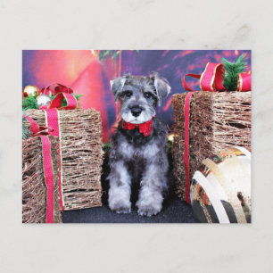 Cartes Pour Fêtes Annuelles Noël - Schnauzer - artilleur