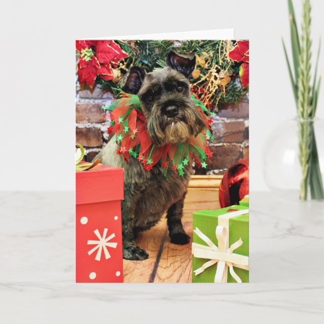 Cartes Pour Fêtes Annuelles Noël - Schnauzer - Fenway (Devant)