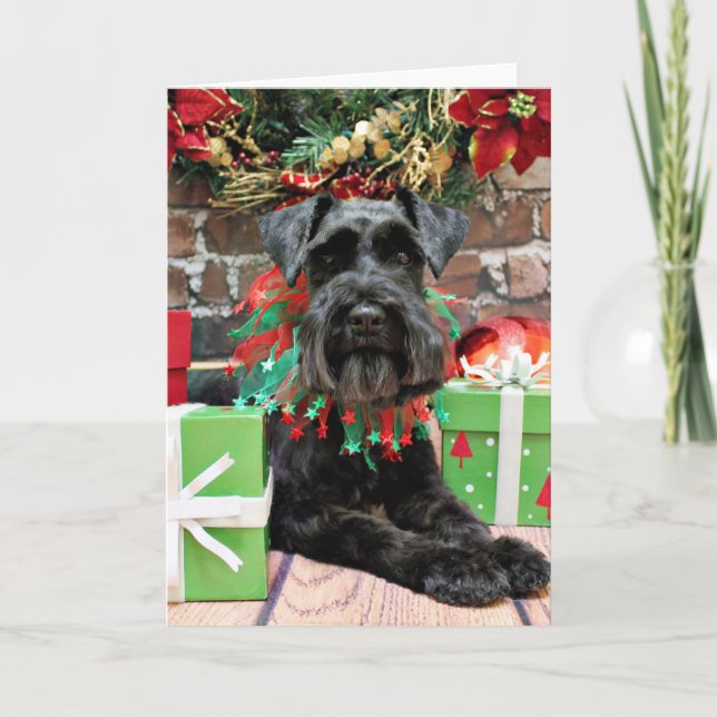 Cartes Pour Fêtes Annuelles Noël - Schnauzer - Fergie (Devant)