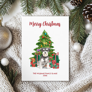 Cartes Pour Fêtes Annuelles Noël Schnauzer miniature