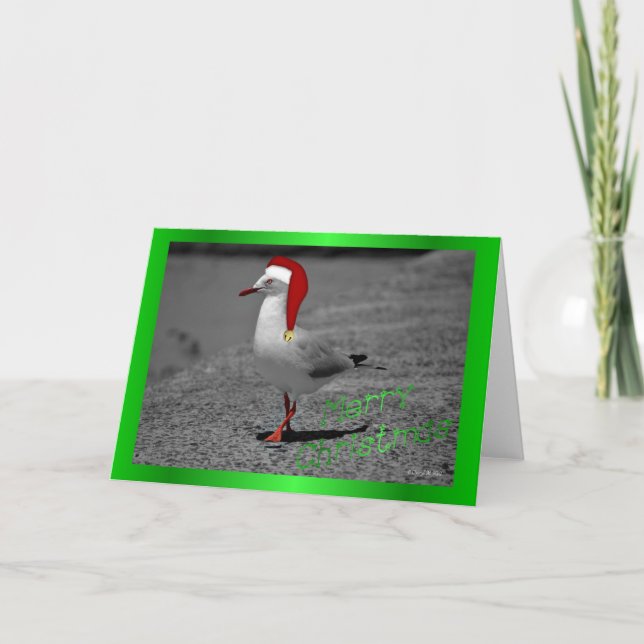 Cartes Pour Fêtes Annuelles Noël seagull santa chapeau drôle humour de Noël (Devant)