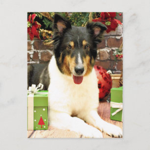 Cartes Pour Fêtes Annuelles Noël - Sheltie - de dentelle