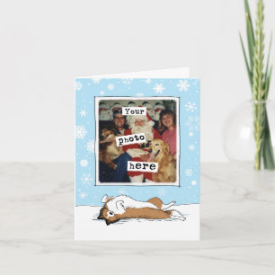 Cartes Pour Fêtes Annuelles Noël Shetland Sheepdog Sheltie Votre Photo