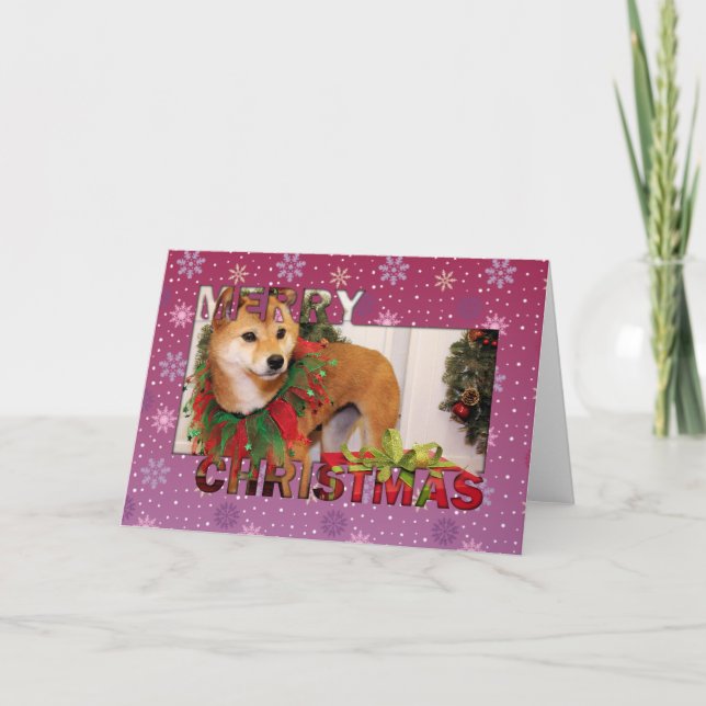 Cartes Pour Fêtes Annuelles Noël - Shiba Inu Photocard (Devant)
