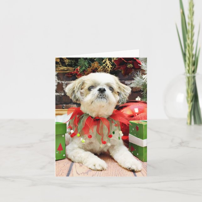 Cartes Pour Fêtes Annuelles Noël - Shih Tzu - Bailey (Devant)