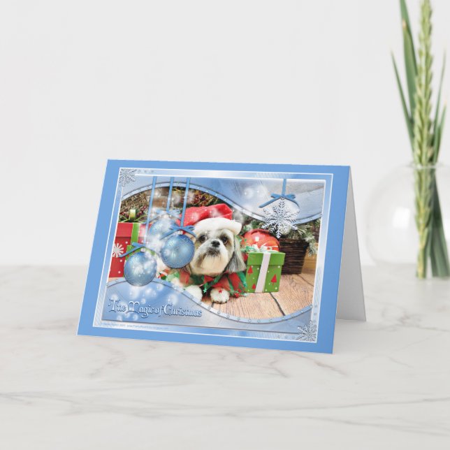 Cartes Pour Fêtes Annuelles Noël - Shih Tzu - Gizmo (Devant)