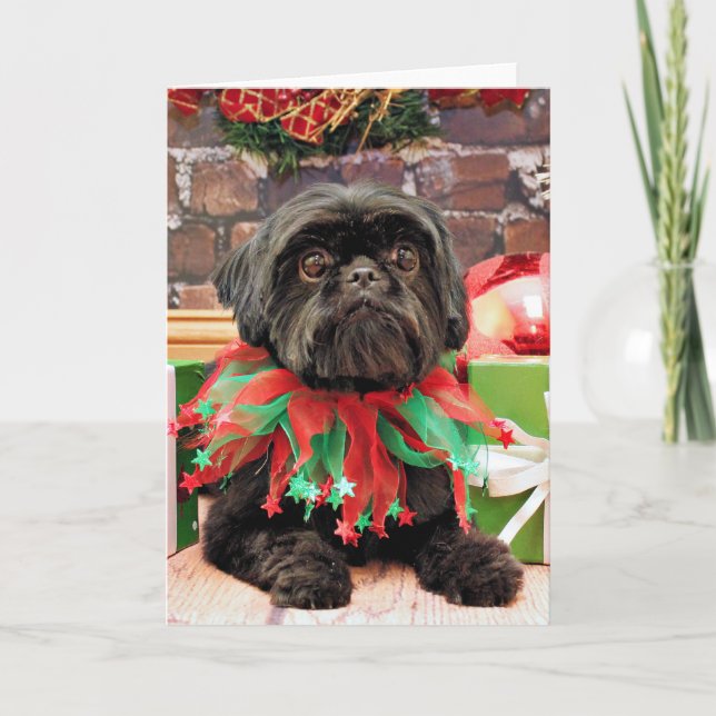 Cartes Pour Fêtes Annuelles Noël - Shih Tzu - Lily (Devant)