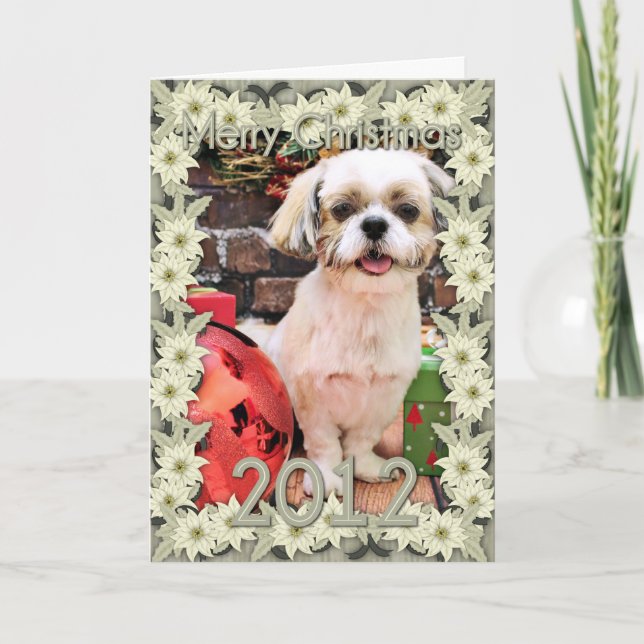 Cartes Pour Fêtes Annuelles Noël - Shih Tzu - Marley (Devant)