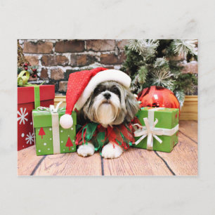 Cartes Pour Fêtes Annuelles Noël - Shih Tzu - Vince