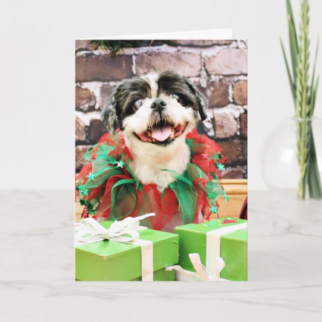 Cartes Pour Fêtes Annuelles Noël - Shih Tzu X - Sunny (Devant)