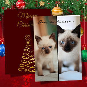 Cartes Pour Fêtes Annuelles Noël siamois