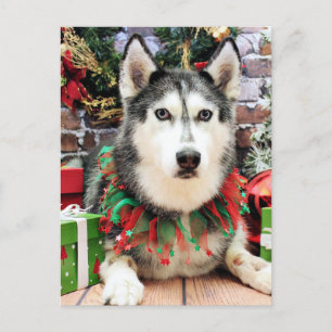 Cartes Pour Fêtes Annuelles Noël - Siberian Husky - Nika
