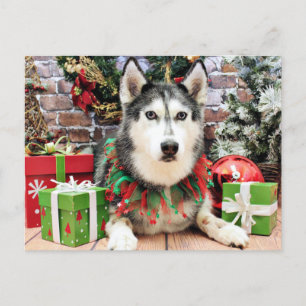 Cartes Pour Fêtes Annuelles Noël - Siberian Husky - Nika
